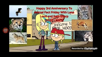 Happy 3rd Anniversary To Animal Fact Friday With Lana Loud and Sam Sharp (To @CruzIbarraMartinez413)