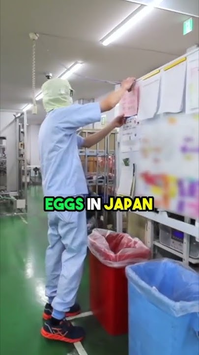 why-japanese-can-eat-raw-eggs-safely-youtube