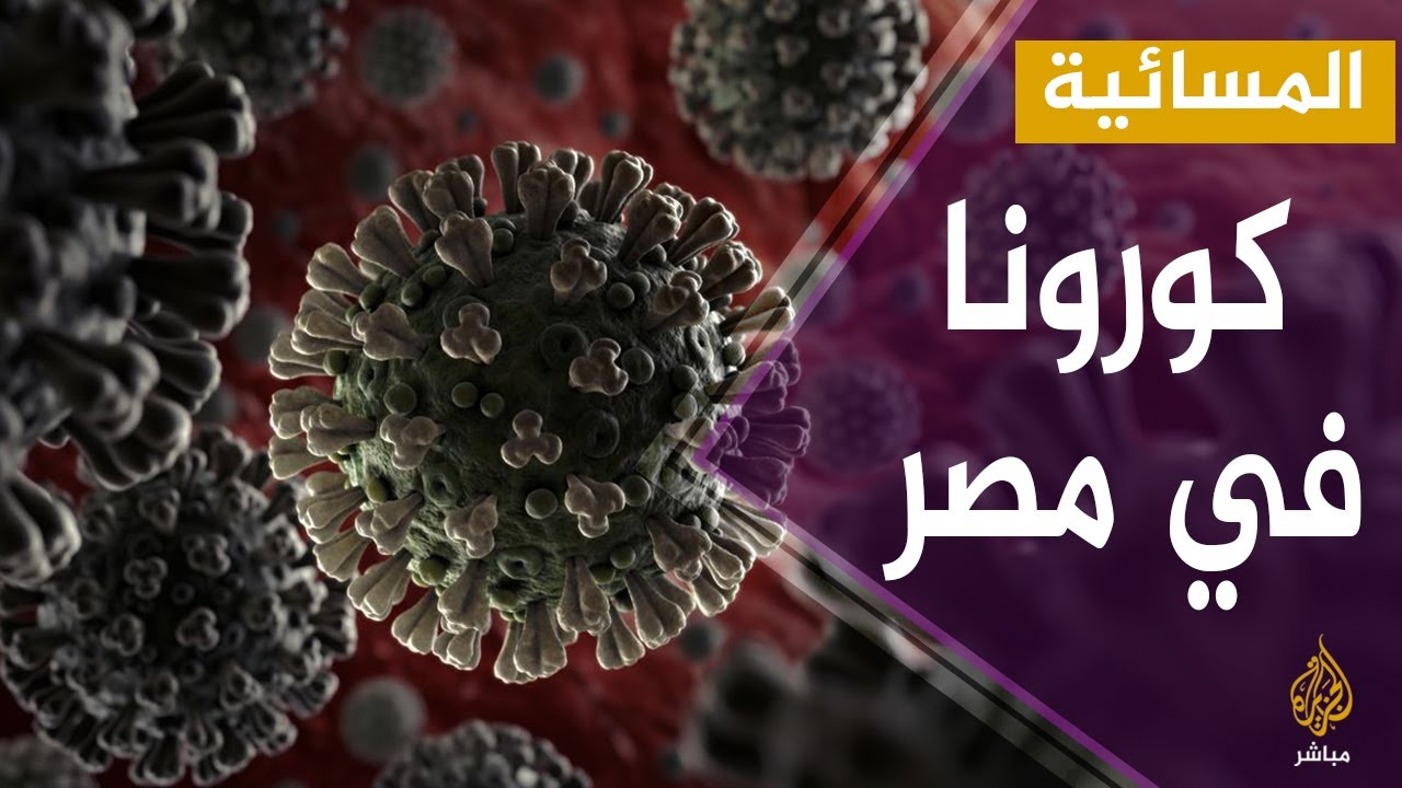 المسائية.. السيسي يؤكد استعداد مصر لنقل تجربتها الناجحة بتطبيق برامج التطعيمات الإجبارية