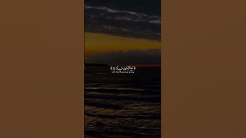 وَيَومَ يَعَضُّ الظّالِمُ عَلى يَدَيهِ يَقولُ .. | سورة الفرقان | القارئ عبدالرحمن مسعد