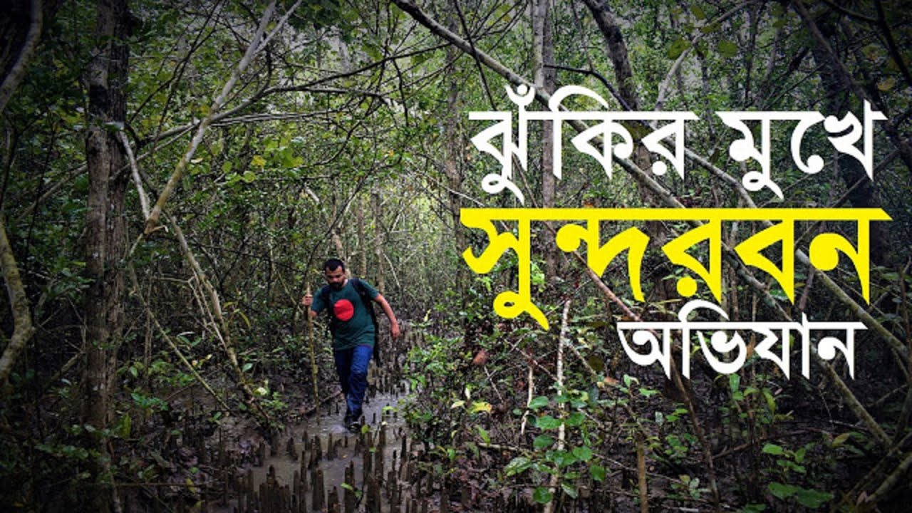ADVENTURE THE SUNDARBANS | LARGEST MANGROVE FOREST IN THE WORLD ...