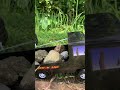 CRAZY! RC Car Overturns &amp; Gets Stuck in Rice Field #shorts