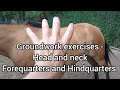 First Groundwork lesson - Moving the head, neck, hindquarters and Forequarters -  modifications