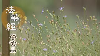 【靜思妙蓮華】法華經譬喻品 - 迷途知返歸正道 - 20200922 第476集