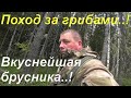 Жизнь в деревне/Нашёл отцовские сапоги/Поход за грибами/Образцовая делянка/Вкуснейшая брусника