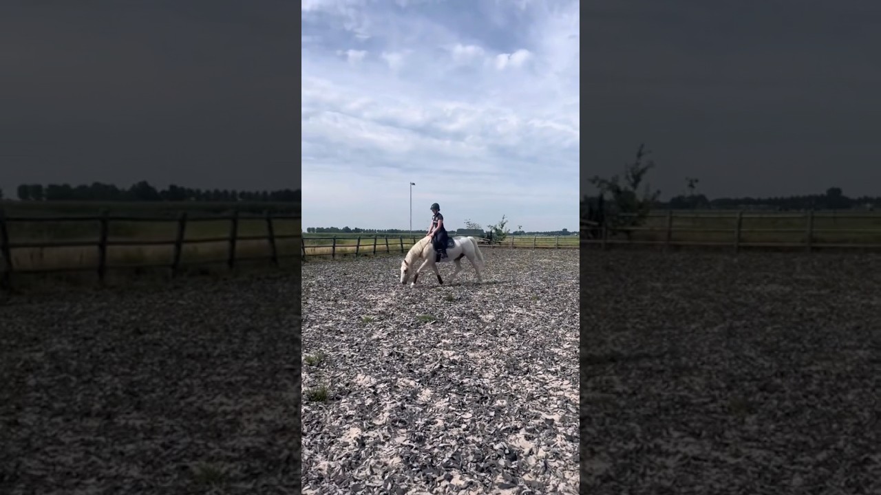 Neckrope riding #horseriding #horses #bitless