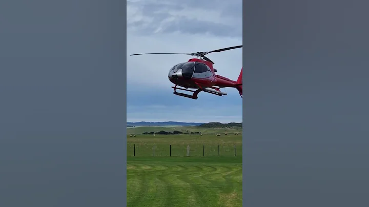 12 Apostles helicopter ride #12apostles #helicopter