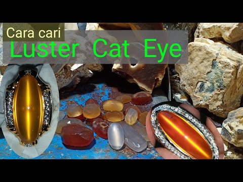 cut rough agate chalcedony to get luster cat&rsquo;s eye