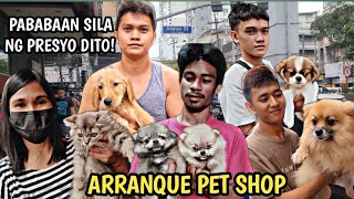 ARRANQUE PET SHOP LATES PRICE UPDATE | MGA MURANG PERSIAN CAT AT CROSS BREED PUPPIES.