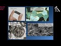 Sedimentary Rocks, the Archives of Earth History (Part 1) - Part 1