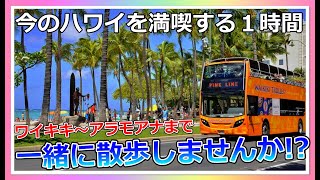 夏真っ盛り！1時間のハワイ散歩！今のワイキキに行った気分で一緒に歩いてみませんか？【4K】【ハワイ現状】【ハワイの今】【ハワイ旅行】【HAWAII】