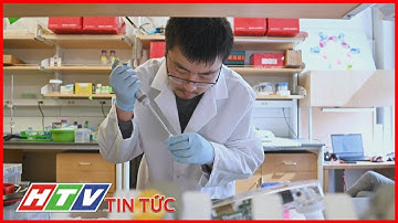 MỸ MÔ HÌNH HÓA MỘT PHẦN CON VIRUS SARS-CoV-2 | HTV TIN TỨC