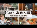 【大人気カフェ】平日限定OPEN【Cafeあめんぼ】