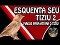 Piado de femea de tiziu. Esquenta seu tiziu 2 só piadinhos tops