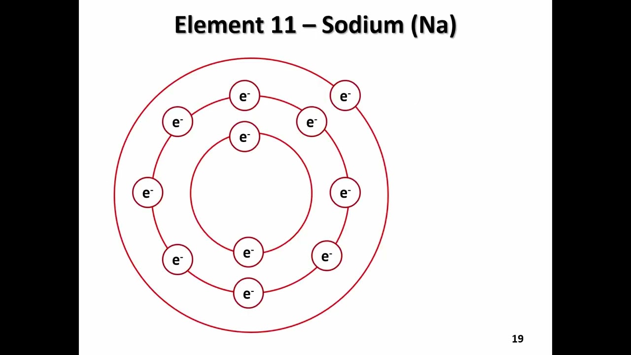 BIOL 3060 BIOELECTRICAL SIGNALING   slides 17 22