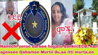 Namichi Yeroo Darbee Hojjatu Bankii(Ecb) Kan Ajjessee Qabamee Murtii Du,Aa Itti Murta,Ee