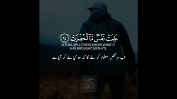 Surah Takwir | سورة التكوير  Ahmed khedr | أحمد خضر