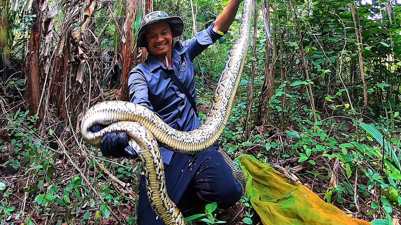 Thu Phục QUÁI VẬT Khu Mộ Cổ, Không Ngờ Nó Lại Ở Đây