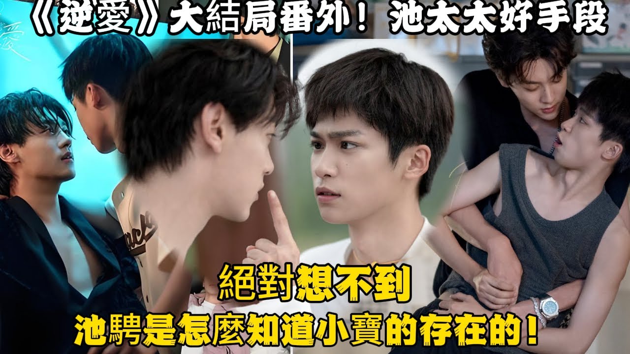 《逆愛》：大結局番外！池太太好手段（4）一切都在向好的方向發展，絕對想不到池騁是怎麼知道小寶的存在的！#田栩宁 #梓渝 #吴所畏 #池骋 #逆爱 #revenged