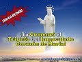 Ya Comenzó el Triunfo del Inmaculado Corazón de María [no lo dudes]