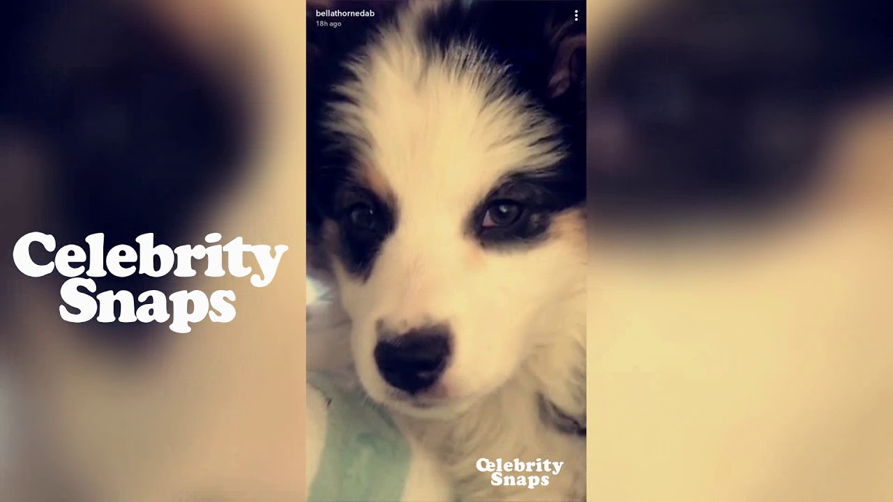 Bella Thorne Snapchat Stories | December 29th 2017 |