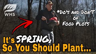 Best Spring Food Plot To Plant