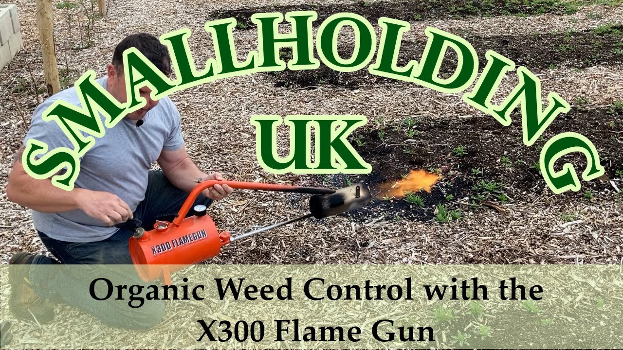 Organic Weed Control with the X300 Flame Gun YouTube