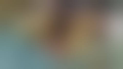 Mobile Liver Explorer