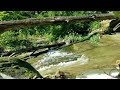 "Over Three Minutes Jubilant Creek Sounds!"