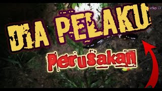 TRAGEDI MALAM TERAKHIR‼️ANTARA AKU DAN WALESAN TUA || MANCING LELE LEMBAT