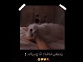 آريـدك درب بي ملگة آريـدك نآس ترهملي