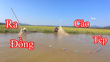 Tép Đồng Xào Bông Chuối - Toàn Đen Sơn Dược Vlog 