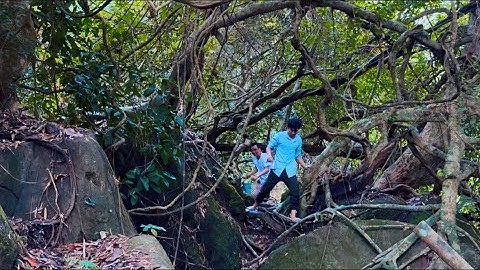 2 Ngày 1 Đêm Vào Rừng Cắm Câu Tìm Nhân Sâm Nước 