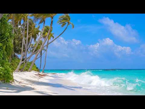 Heaven on Earth 🌴 Maldives & Ocean Waves 4K 60FPS Dolby Vision