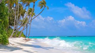 Heaven on Earth 🌴 Maldives & Ocean Waves 4K 60FPS Dolby Vision