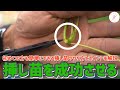 「いちご栽培 いちご農家」挿し苗を成功させるポイントご紹介!