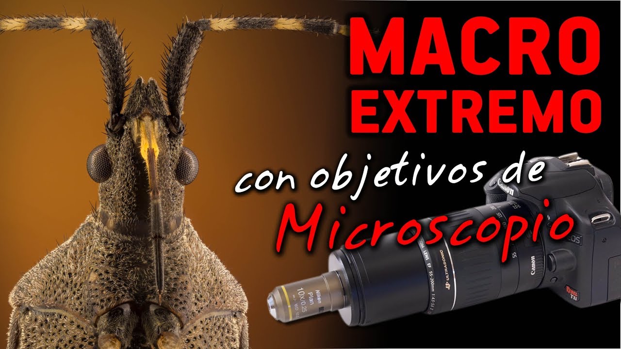 telescopios argentina MACRO EXTREMO con objetivos de MICROSCOPIO