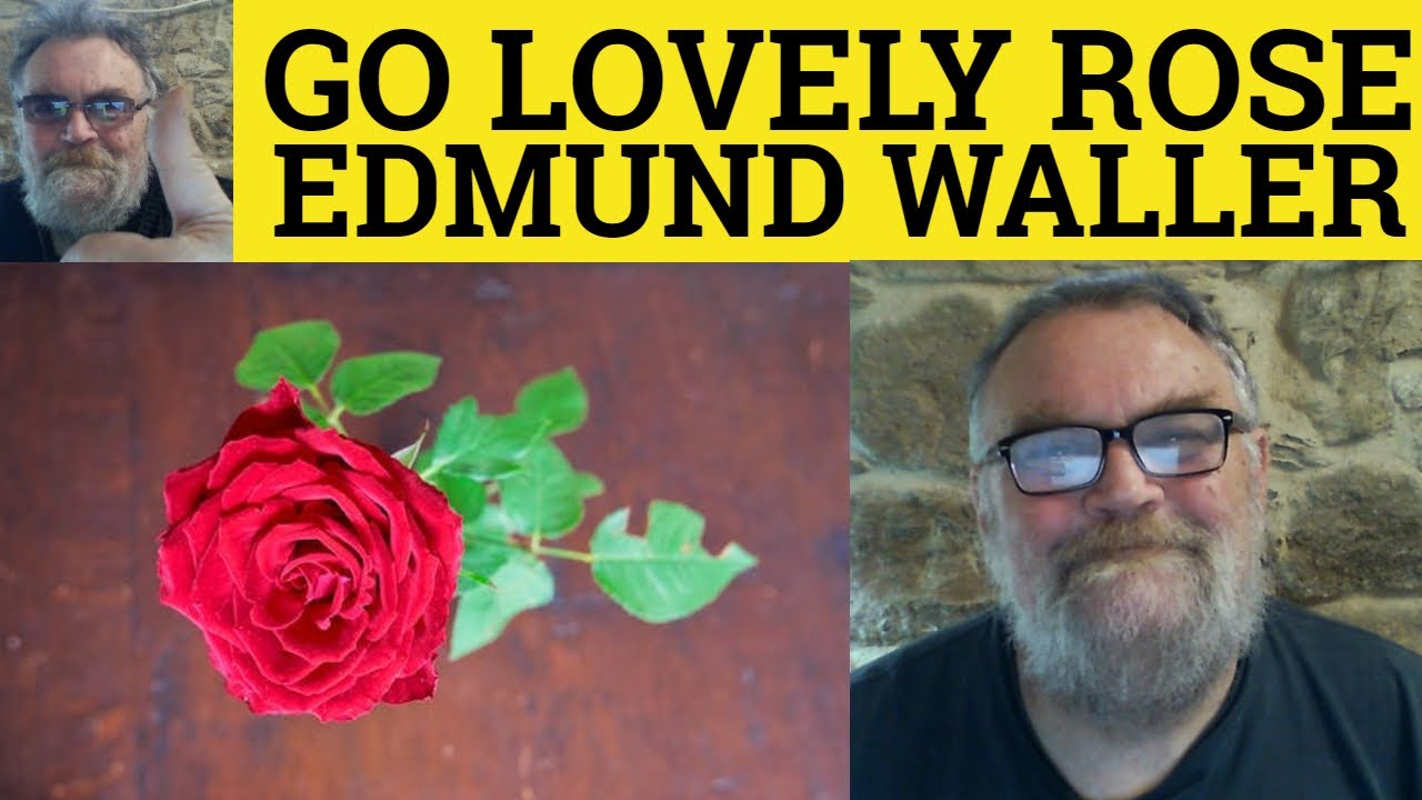 Go Lovely Rose Poem by Edmund Waller - Summary Analysis - Go ...