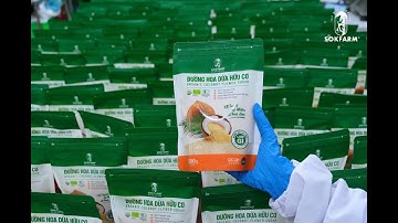 Bên trong nhà máy Sokfarm: Đường hoa dừa hữu cơ được làm ra sao?