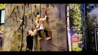 Brave 4 year old tries to climb a rock wall #2023 #family #vacation #baby #moon #babymoon #gwl