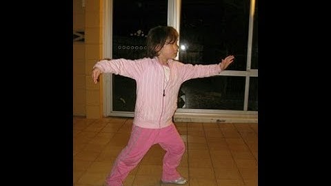 Yang Family Taiji Single Whip