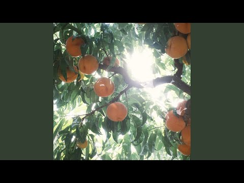 Music Video Preview