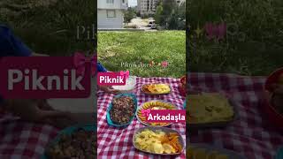 Bu Arada Piknik Güzel Gecti Abune Olur Musun