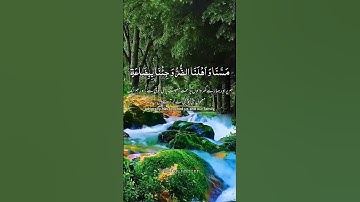 ابداع من سورة يوسف //عبد العزيز سحيم