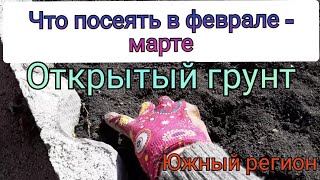 Что посеять в Открытый Грунт в Феврале. Южные регионы. Рассада. Выгонка ландыша. Момордика обзор.