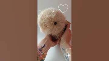 Unboxing Cupboo the world