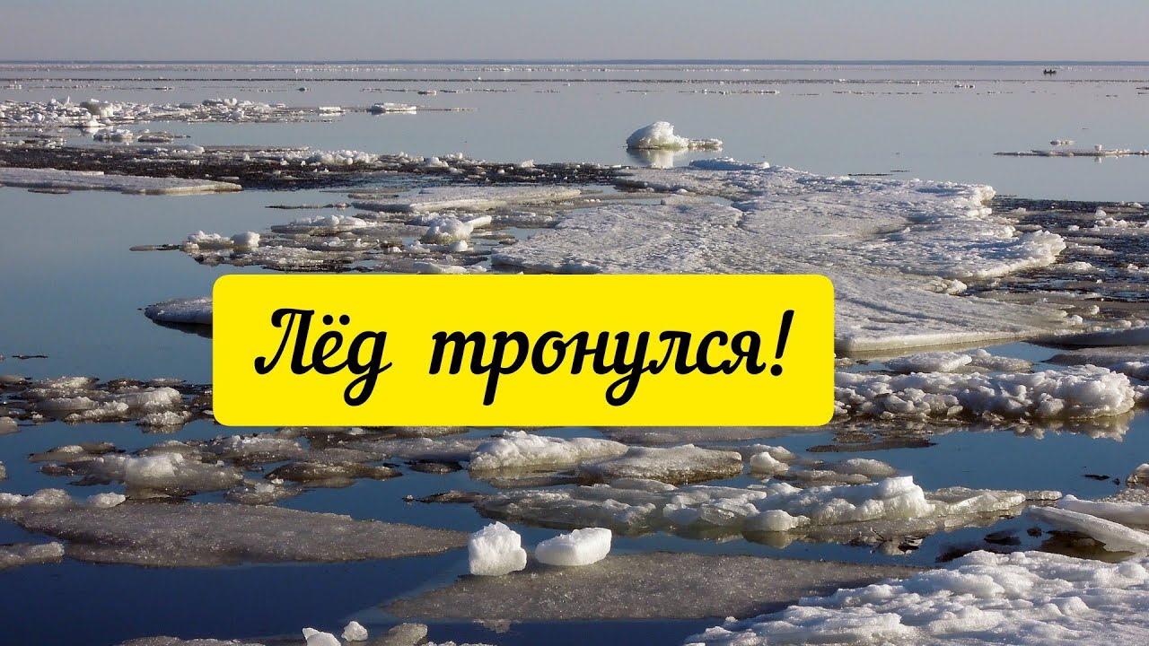 Лед тронулся. Лед тронулся 1 класс. Лед тронулся на Москва-реке. Лед тронулся стихотворение. Форум лед тронулся