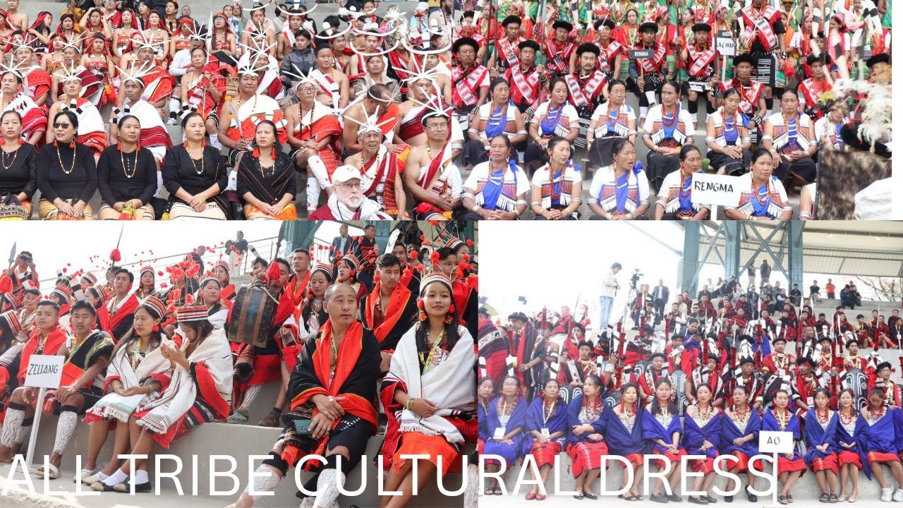 ALL NAGA TRIBE TRADITIONAL DRESS/ READY TO PERFORMANCE HORNBILL FESTIVAL KISAMA