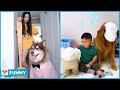 When Lun Tai uses diapers as a mask - Dog Funny Moments 2021 V29 - Dogs funny video