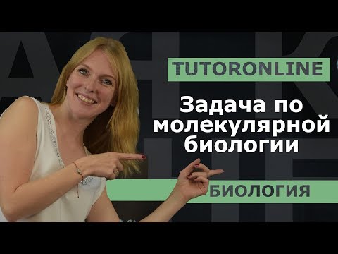 Видео: Сколько нуклеотидов в молекуле ДНК?